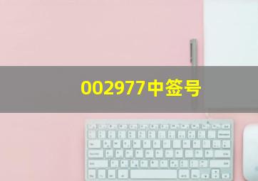 002977中签号