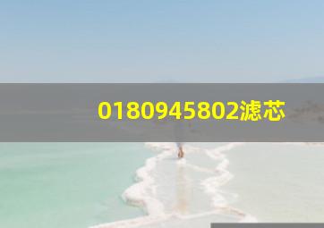 0180945802滤芯