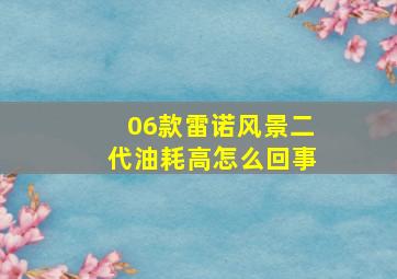 06款雷诺风景二代油耗高怎么回事