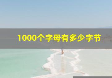 1000个字母有多少字节