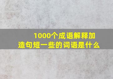 1000个成语解释加造句短一些的词语是什么