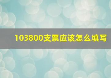 103800支票应该怎么填写