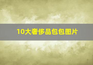 10大奢侈品包包图片