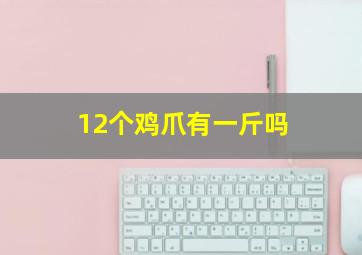 12个鸡爪有一斤吗