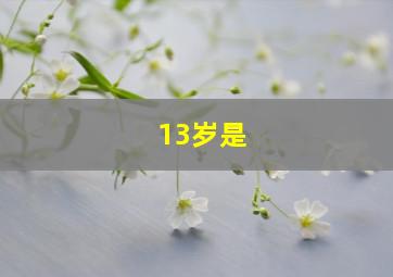 13岁是