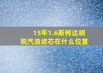 15年1.6斯柯达明锐汽油滤芯在什么位置