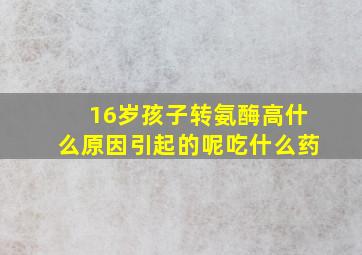 16岁孩子转氨酶高什么原因引起的呢吃什么药