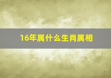 16年属什么生肖属相