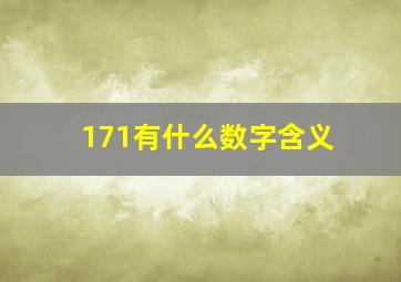 171有什么数字含义