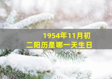 1954年11月初二阳历是哪一天生日