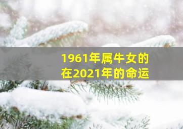 1961年属牛女的在2021年的命运