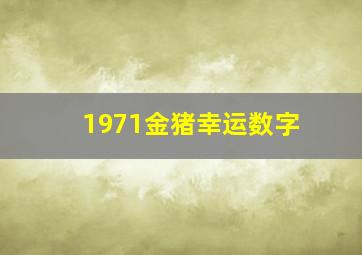 1971金猪幸运数字