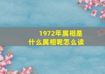 1972年属相是什么属相呢怎么读