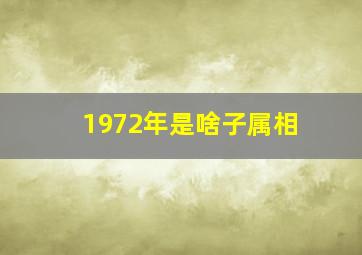 1972年是啥子属相