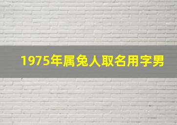 1975年属兔人取名用字男