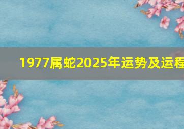 1977属蛇2025年运势及运程