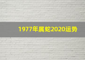 1977年属蛇2020运势