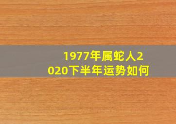 1977年属蛇人2020下半年运势如何