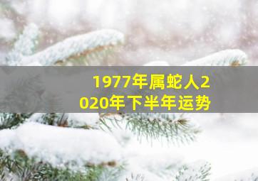 1977年属蛇人2020年下半年运势