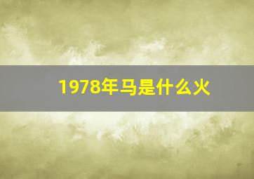 1978年马是什么火