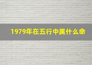 1979年在五行中属什么命