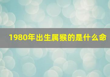 1980年出生属猴的是什么命