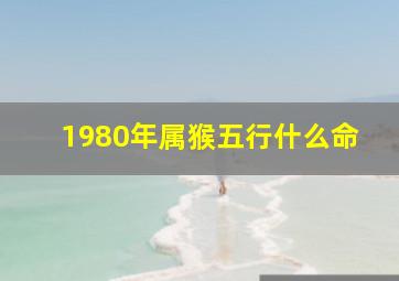 1980年属猴五行什么命