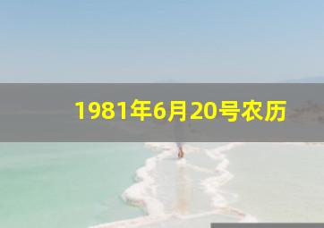 1981年6月20号农历