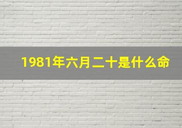 1981年六月二十是什么命