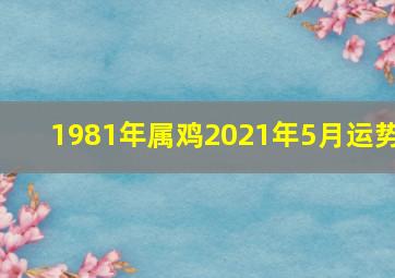 1981年属鸡2021年5月运势