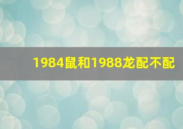 1984鼠和1988龙配不配