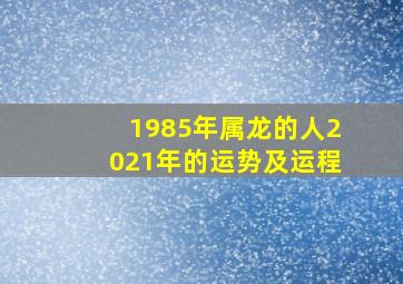 1985年属龙的人2021年的运势及运程