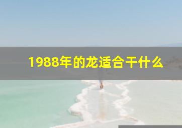 1988年的龙适合干什么