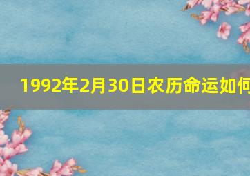 1992年2月30日农历命运如何