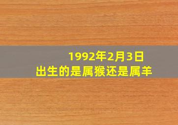 1992年2月3日出生的是属猴还是属羊