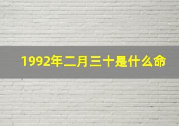 1992年二月三十是什么命