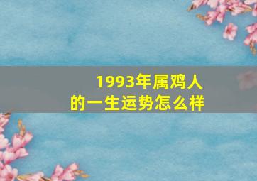 1993年属鸡人的一生运势怎么样