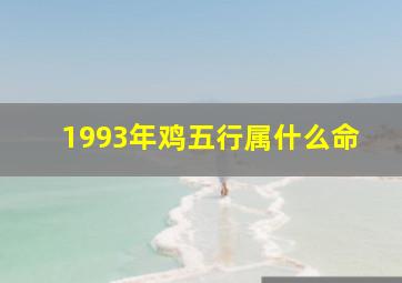 1993年鸡五行属什么命