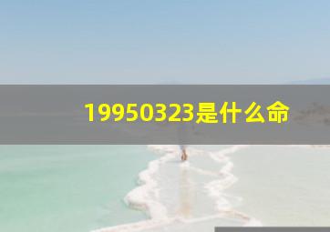 19950323是什么命