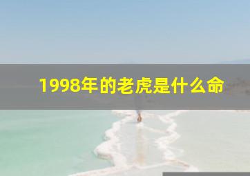 1998年的老虎是什么命