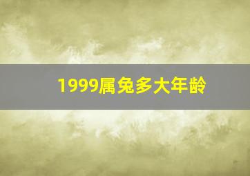 1999属兔多大年龄