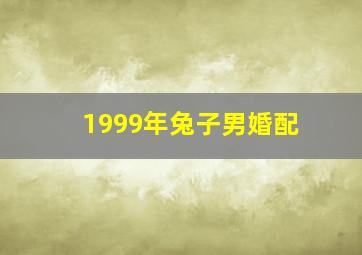 1999年兔子男婚配