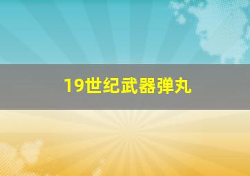 19世纪武器弹丸