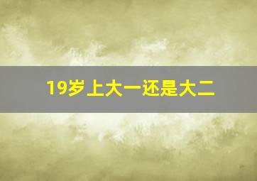 19岁上大一还是大二