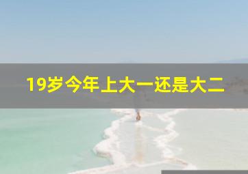 19岁今年上大一还是大二