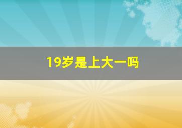 19岁是上大一吗