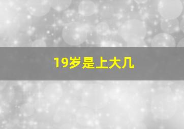 19岁是上大几