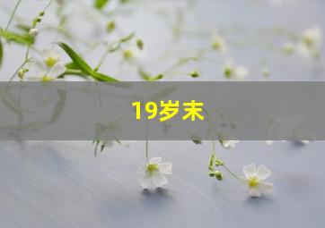 19岁末