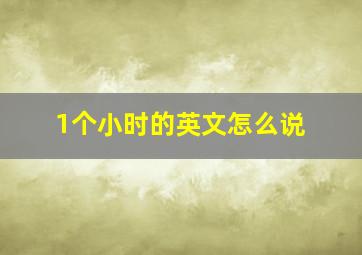 1个小时的英文怎么说