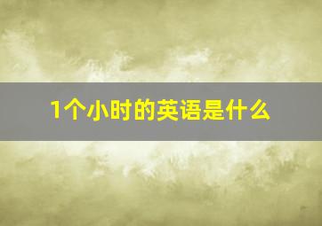 1个小时的英语是什么